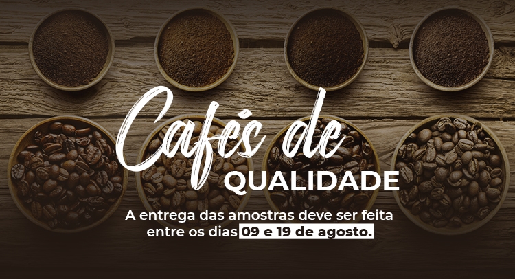 Capa da notícia